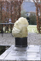 Nature - winterhoes - h150 x ø100cm - beige - afdekhoes - met aantrekkoord