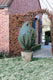 Nature - winterhoes - 300 x ø250cm - groen - afdekhoes - met rits