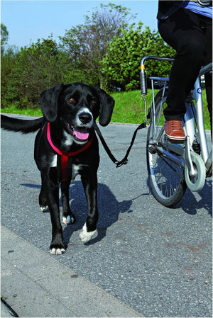 Trixie bikerset fietsbeugel - fietsen met hond - 1 stk