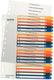 Leitz 1296 register din a4 1-20 polypropyleen meerdere kleuren 20 tabbladen extra breed, pc-beschrijfbaar 12960000