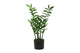 Countryfield kunstplant zamioculcas zamiifolia s groen 48x44x65cm