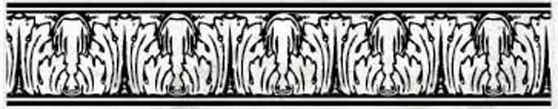 Afbeelding laden in galerijviewer, Merkloos prima marketing • roller stamp 5cm acanthus
