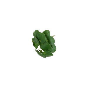 Countryfield kunstplant pilea 22x22xh25cm