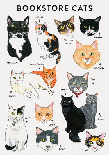 Bibliophile - flexi journal: bookstore cats