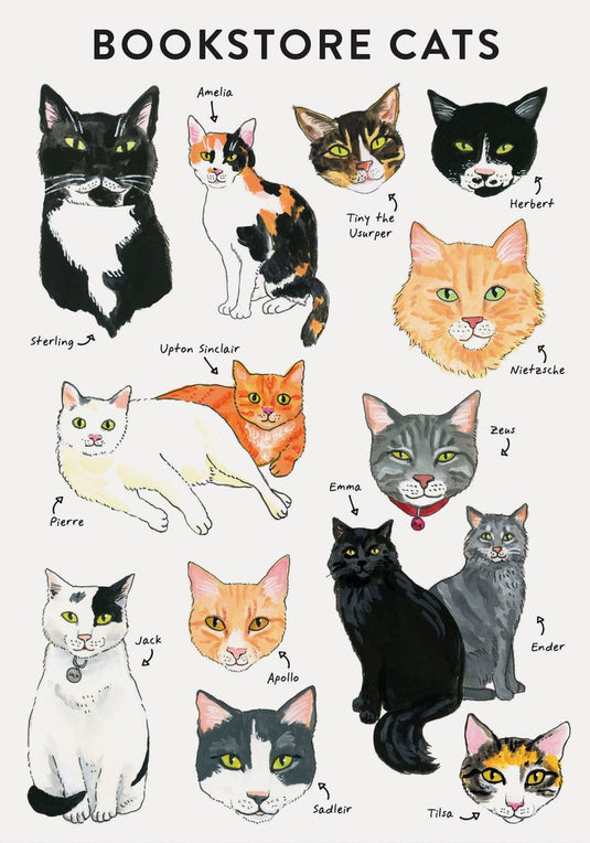 Bibliophile - flexi journal: bookstore cats