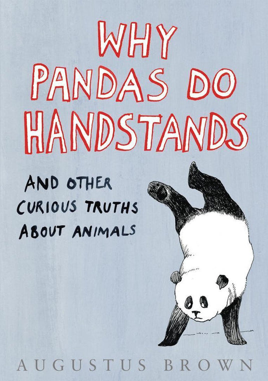 Why pandas do handstands...