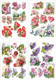 Creativ company 3d vellen - bloemen en vlinders design - scrapbooking vellen - diy knipvellen - creatieve hobbyvellen - papier vellen - kaarten maken vellen - set van 4 vellen - a4 formaat - 21x30 cm