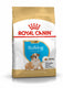 Royal canin bulldog - 12 kg - puppy-hondenvoer