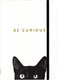 Peter pauper compacte notitieboek - curious cat - met elastieksluiting - 13x18 cm