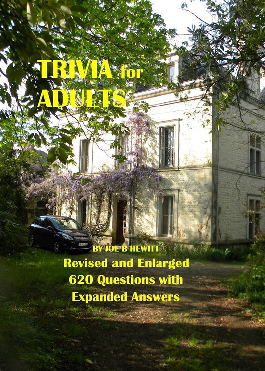 Trivia for adults
