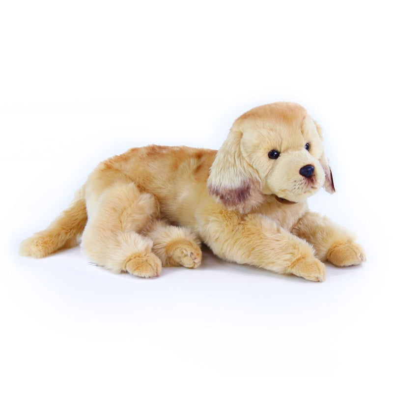 Afbeelding laden in galerijviewer, Pluche golden retriever 32cm eco-vriende | 2 stuks

