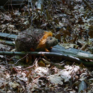 Pluche egel 23 cm eco-vriendelijk