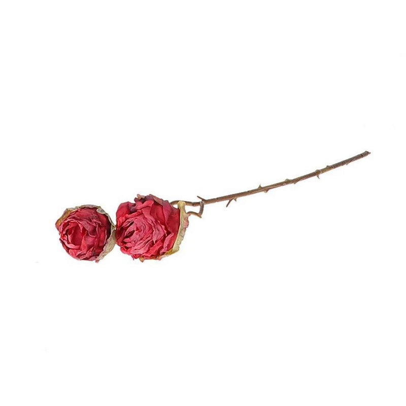 Afbeelding laden in galerijviewer, Hbx natural living decotak roos orossy 45cm rood- met dubbele bloemen
