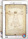 Eurographics - de verhoudingen van het menselijk lichaam volgens vitruvius [le proporzioni del corpo umano secondo vitruvio] - leonardo da vinci - 1000 stukjes 48×68cm (b×h) - legpuzzel