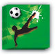 Basic sportieve goal servetten 20 stuks
