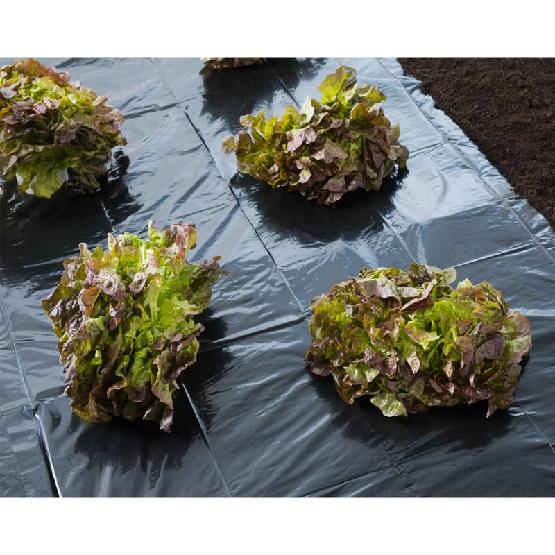 Afbeelding laden in galerijviewer, Nature afdekfolie 3x4 m 150µ zwart
