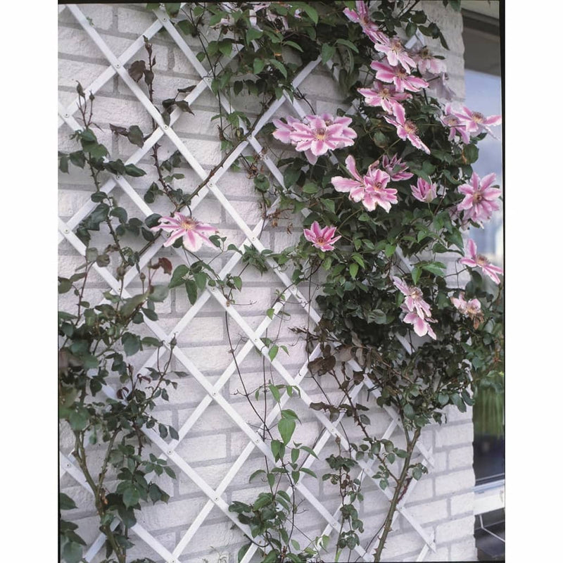 Afbeelding laden in galerijviewer, Nature tuinlatwerk 100x200 cm pvc wit 6040703
