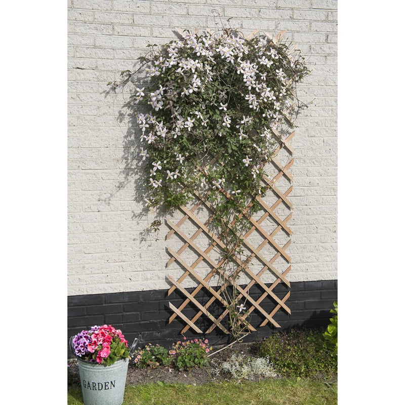 Afbeelding laden in galerijviewer, Nature tuinlatwerk 50x150 cm hout natuurlijk
