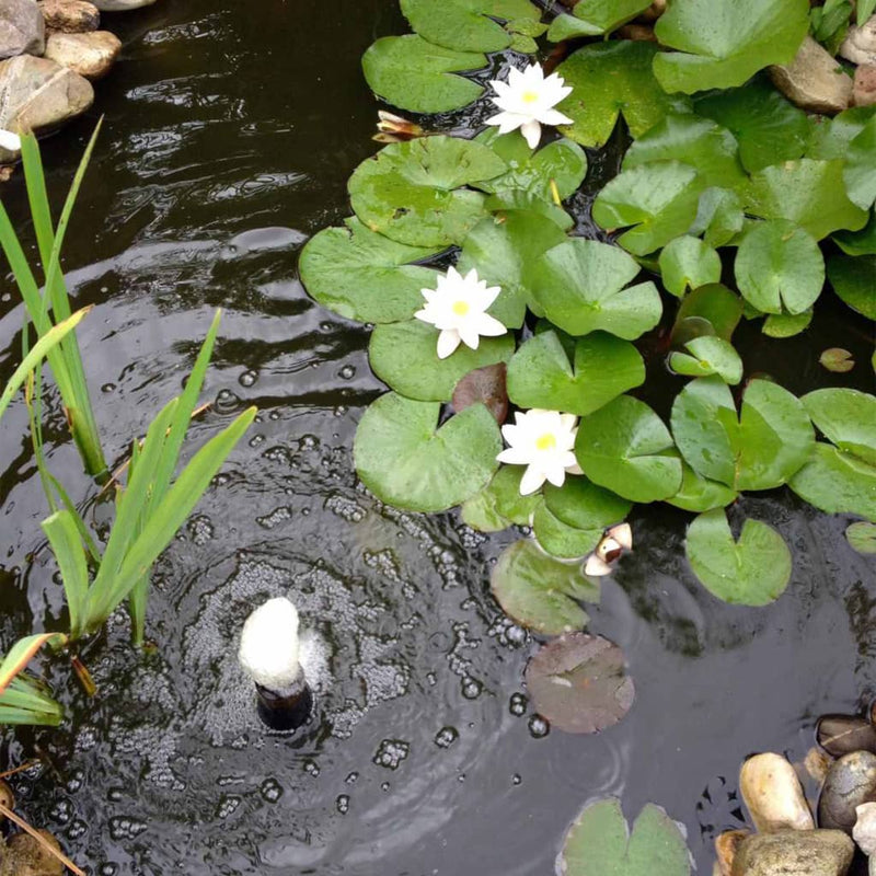 Afbeelding laden in galerijviewer, Ubbink Ubbink 3-delige Waterlelieset decoratief wit
