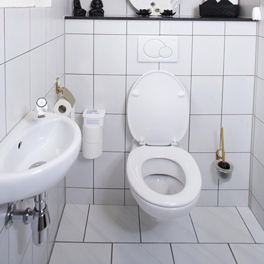 Hg eco toiletruimte reiniger