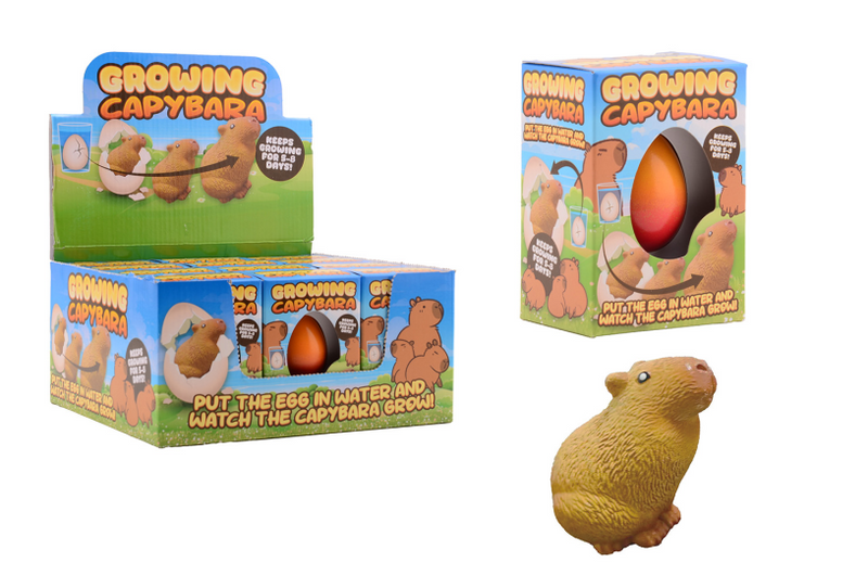 Afbeelding laden in galerijviewer, Johntoy groeiende capybara ei in doos, 4 assorti
