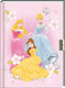 Dagboek prinses.