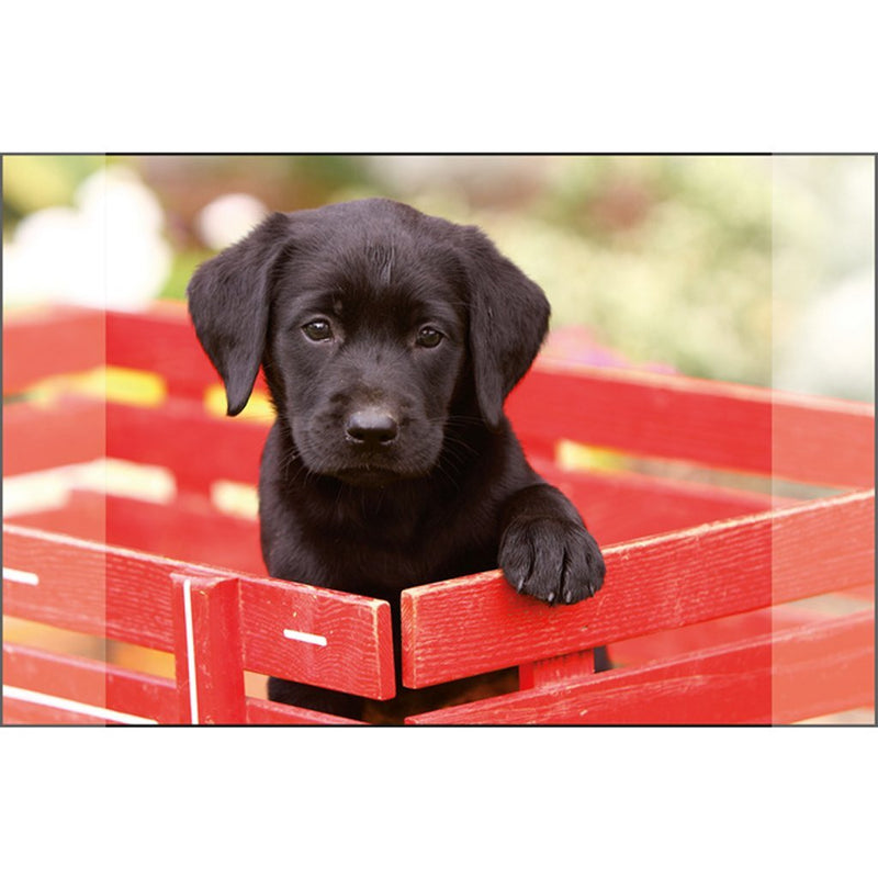 Afbeelding laden in galerijviewer, Kangaro bureau onderlegger - 38x58cm - labrador zwart - antislip - met insteekvakken
