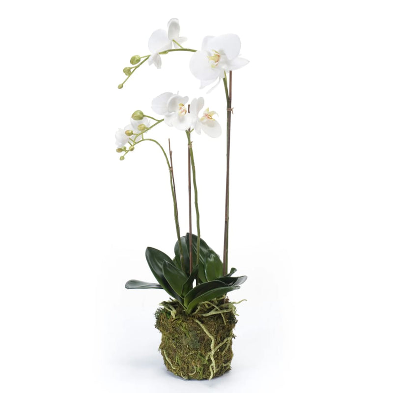 Afbeelding laden in galerijviewer, Emerald kunstplant vlinderorchidee 70 cm wit
