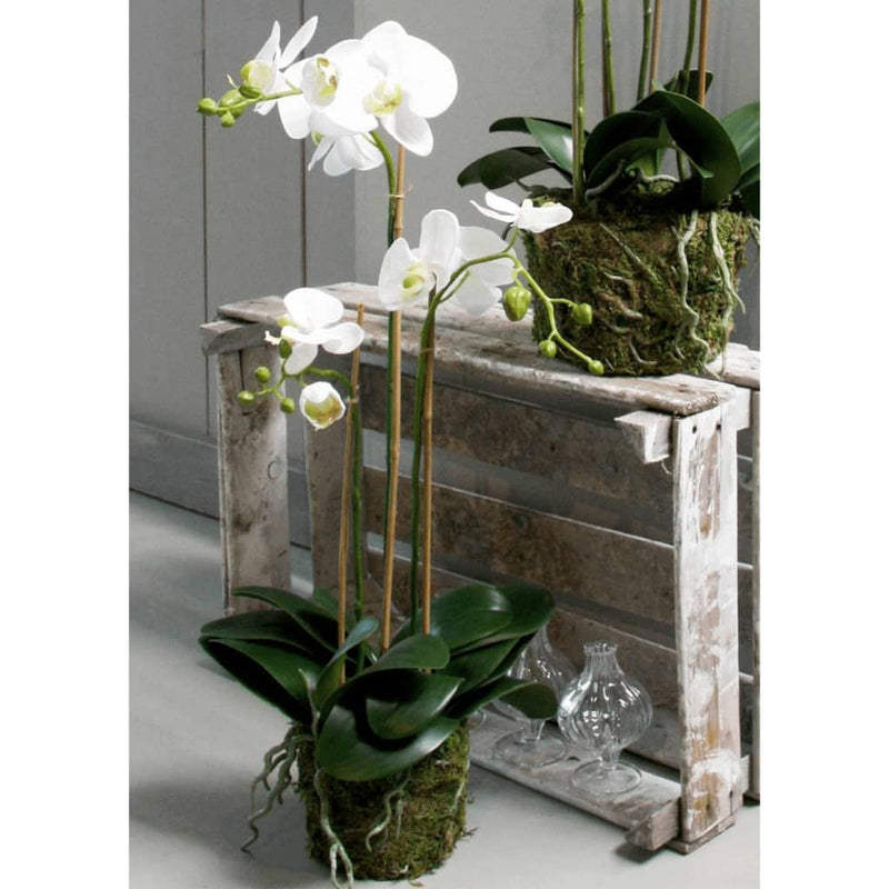 Afbeelding laden in galerijviewer, Emerald kunstplant vlinderorchidee 70 cm wit
