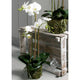 Emerald kunstplant vlinderorchidee 70 cm wit