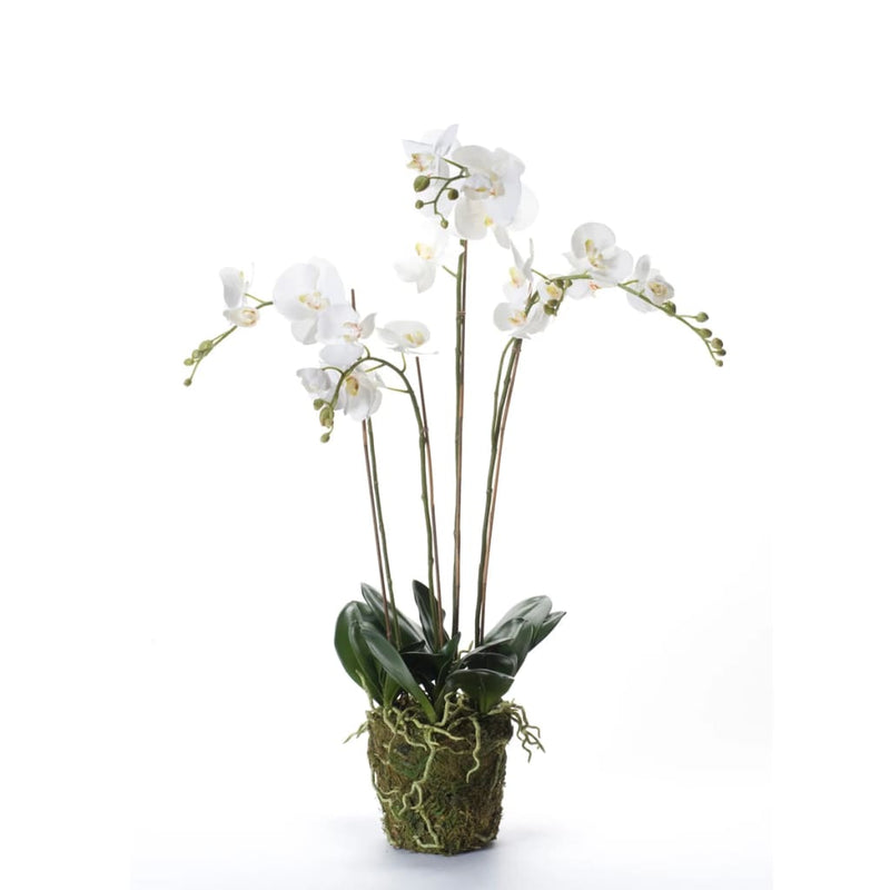 Afbeelding laden in galerijviewer, Emerald kunstplant orchidee met mos wit 90 cm 20.355
