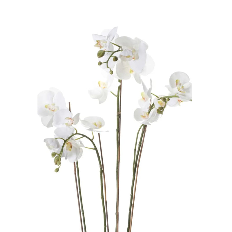 Afbeelding laden in galerijviewer, Emerald kunstplant orchidee met mos wit 90 cm 20.355
