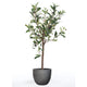 Emerald kunstplant olijfboom mini 65 cm