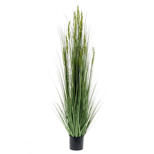 Emerald kunstplant graangras 150 cm