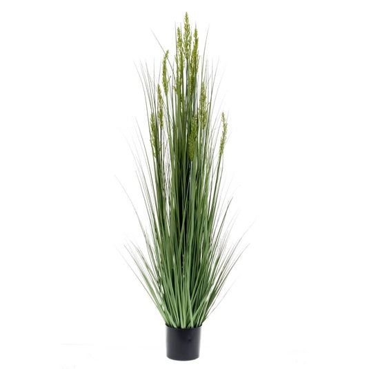 Emerald kunstplant graangras 150 cm