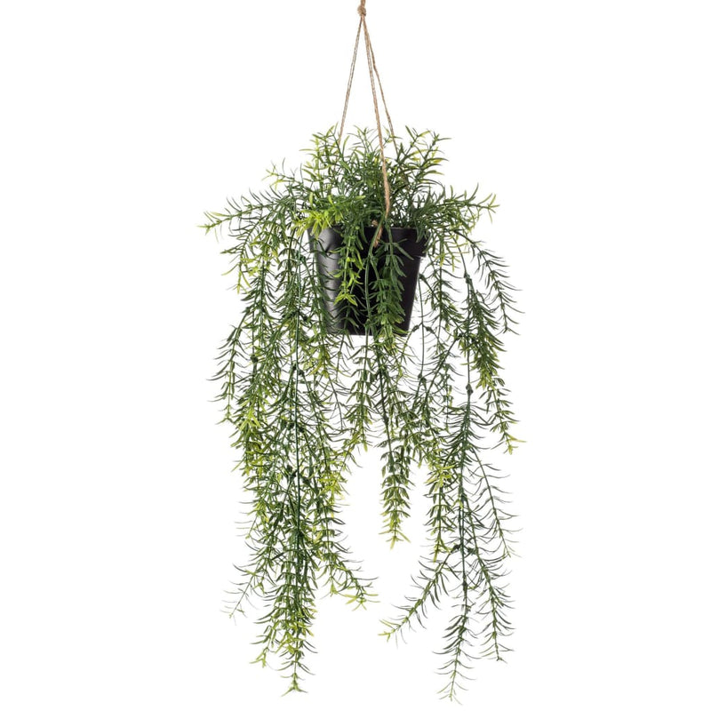 Afbeelding laden in galerijviewer, Emerald kunstplant hangend in pot asparagus 50 cm
