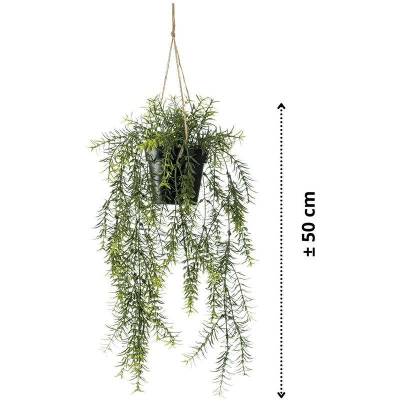 Afbeelding laden in galerijviewer, Emerald kunstplant hangend in pot asparagus 50 cm
