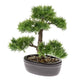 Emerald kunstplant ceder bonsai groen 32 cm 420001