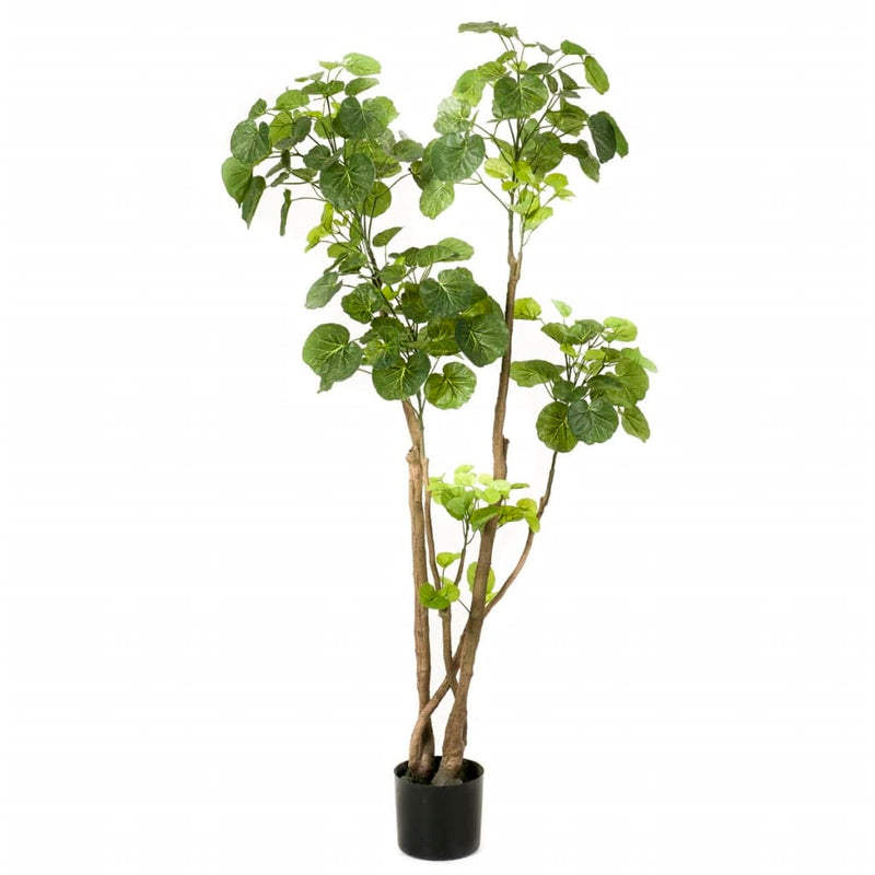 Afbeelding laden in galerijviewer, Emerald kunstboom aralia 135 cm 420292

