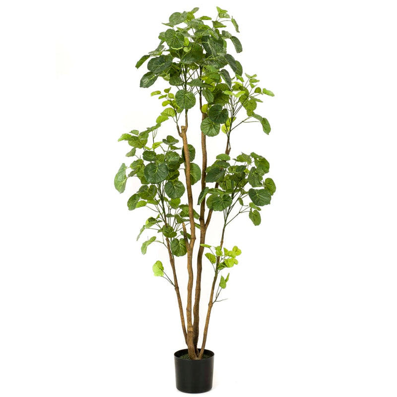 Afbeelding laden in galerijviewer, Emerald kunstboom in pot aralia 160 cm
