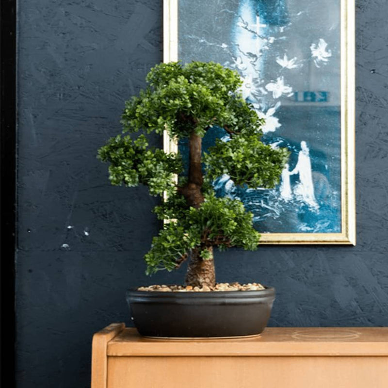 Afbeelding laden in galerijviewer, Emerald kunstplant in bruine pot ficus minibonsai 43 cm

