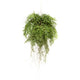 Emerald Emerald Kunstvaren hangend met wortels 55 cm