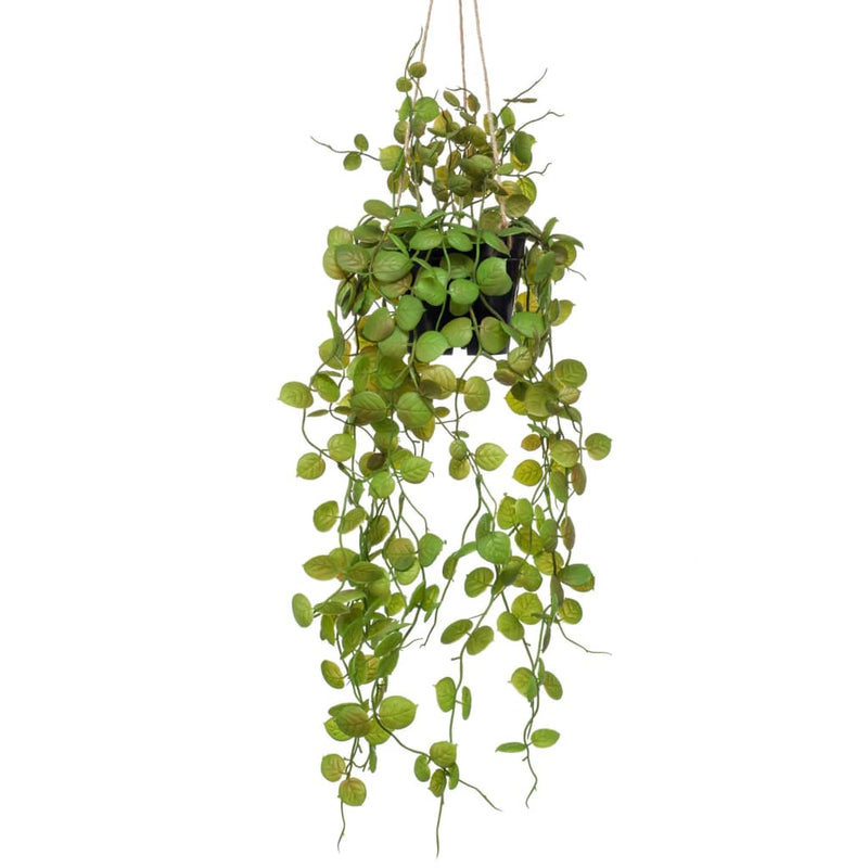 Afbeelding laden in galerijviewer, Emerald kunstplant hangend in pot lantaarnplant 50 cm
