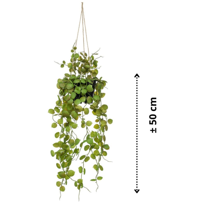 Afbeelding laden in galerijviewer, Emerald kunstplant hangend in pot lantaarnplant 50 cm
