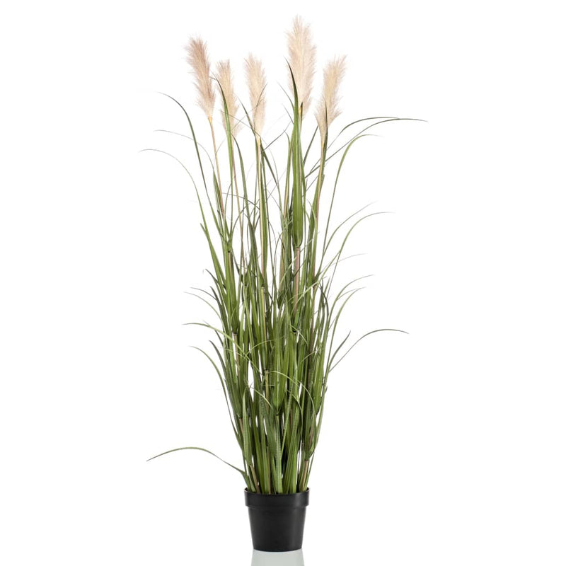 Afbeelding laden in galerijviewer, Emerald kunstplant in pot pampasgras 160 cm
