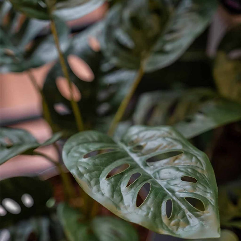 Afbeelding laden in galerijviewer, Emerald kunstplant in pot monkey monstera struik 43 cm
