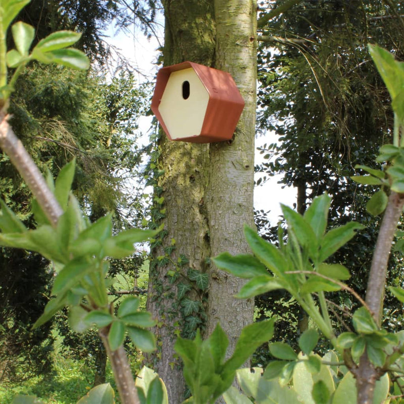 Afbeelding laden in galerijviewer, Capi Capi Vogelhuisje Hive 2 19x23x20 cm bruin
