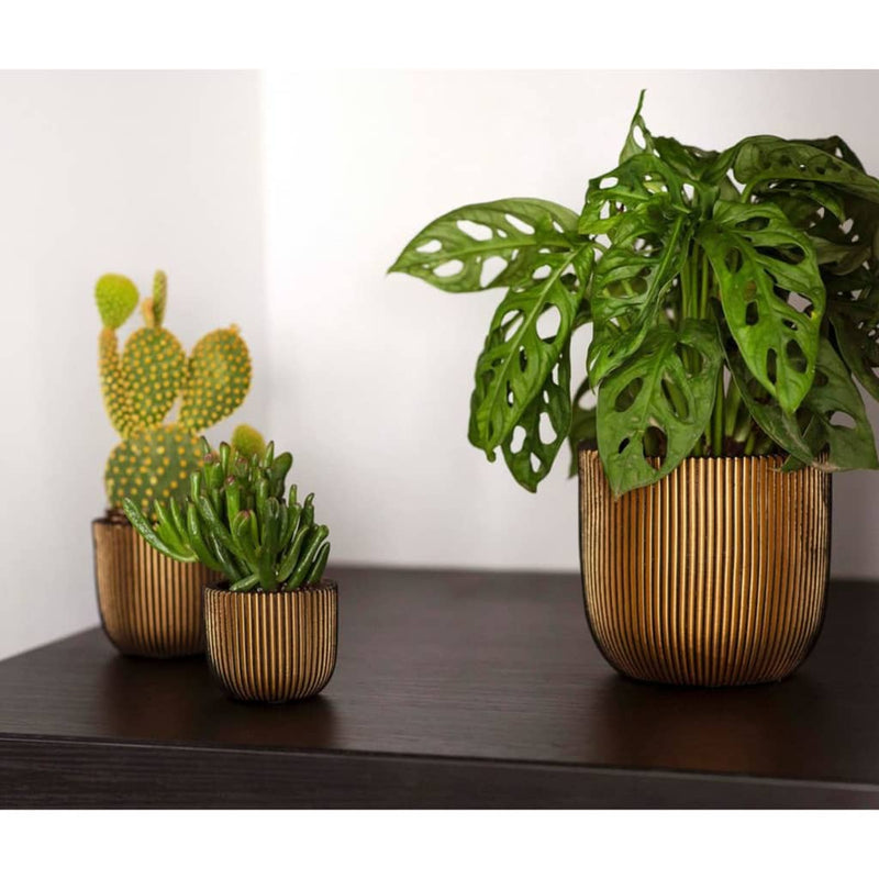 Afbeelding laden in galerijviewer, Capi capi 4-delige bloempottenset groove goudkleurig
