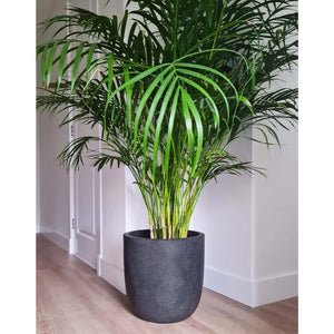 Capi plantenbak waste smooth 43x41 cm grijs