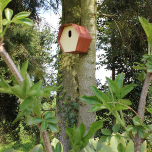 Capi vogelhuisje hive 2 ovaal gat 19x23x20 cm bruin